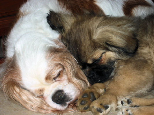very young and very old