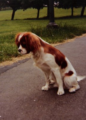 Chiquita at 6 months