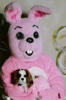 Maggie pup in arms of Easter bunny