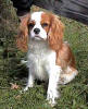 Bentley Marlene Waite