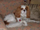 Jackson owned by Eileen Finn