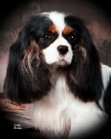 Chanel head shot more forward July 2009