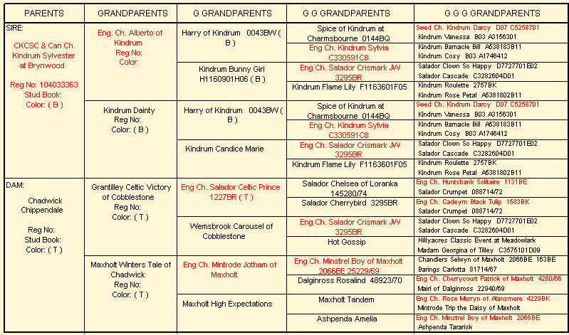 Chadwick Calamity Jane pedigree