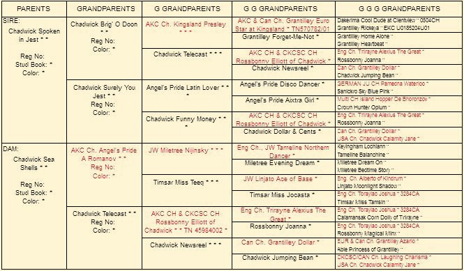 Funny Girl reg pedigree
