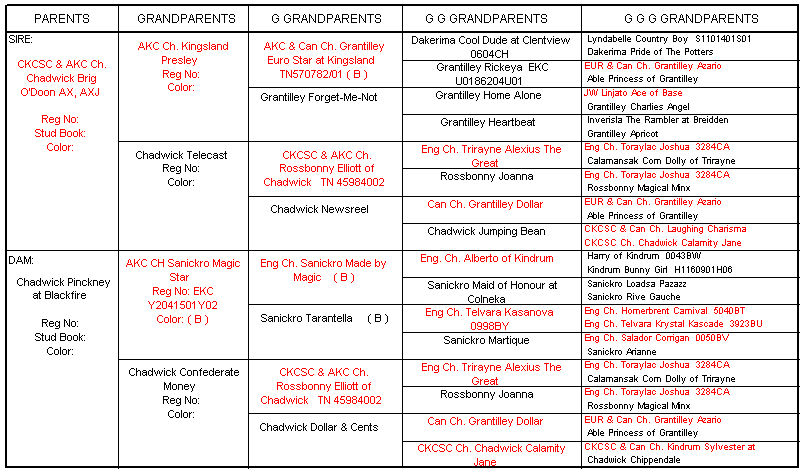 Chadwick Winter Solstice pedigree