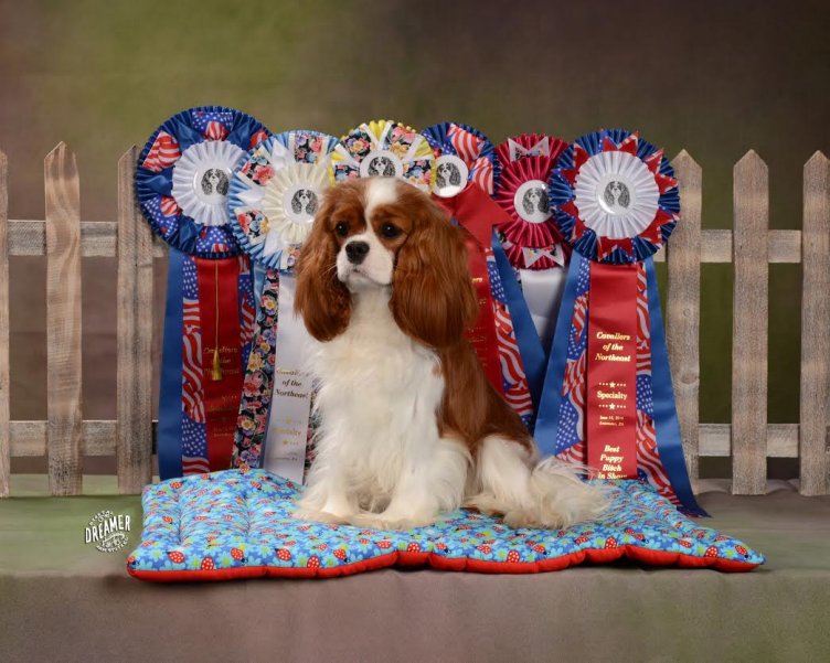 Leura sitting with her ribbons lg