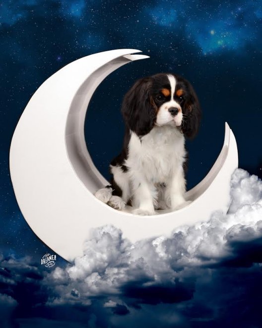 O Neal in moon