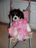 Phoebe dressed up